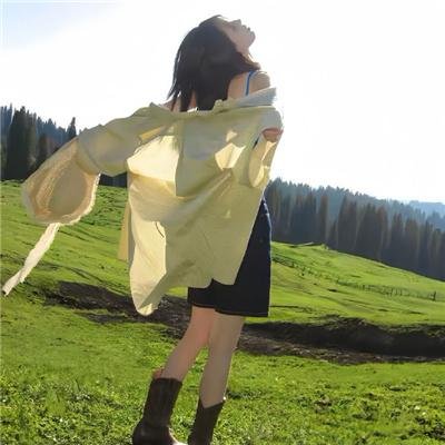 穿越之大小姐的极品家丁